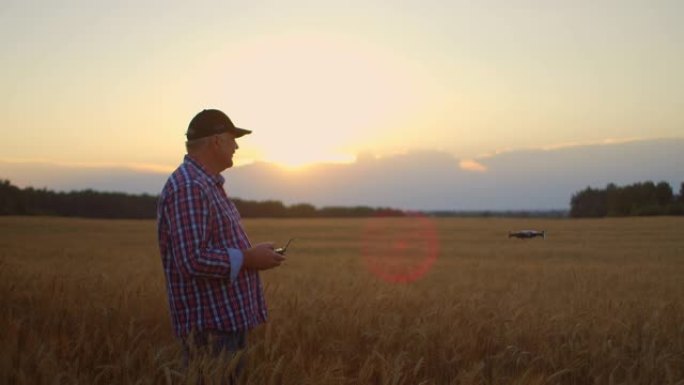 日落时，一位戴着帽子的老年男性农民在麦田上驾驶无人机。老农民在农业中使用无人机