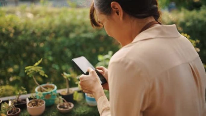 亚洲女性通过智能手机在锅上拍摄小树的照片