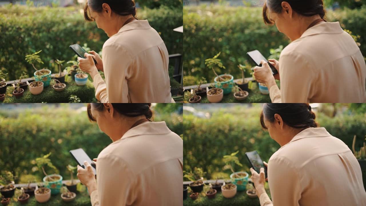 亚洲女性通过智能手机在锅上拍摄小树的照片