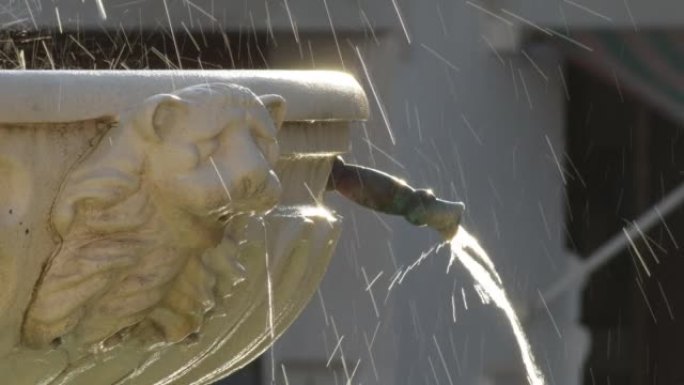 公共喷泉的喷口，雕刻着狮子倒水的面孔