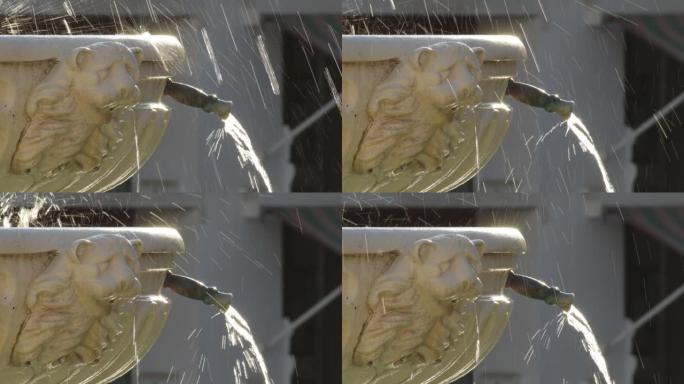公共喷泉的喷口，雕刻着狮子倒水的面孔