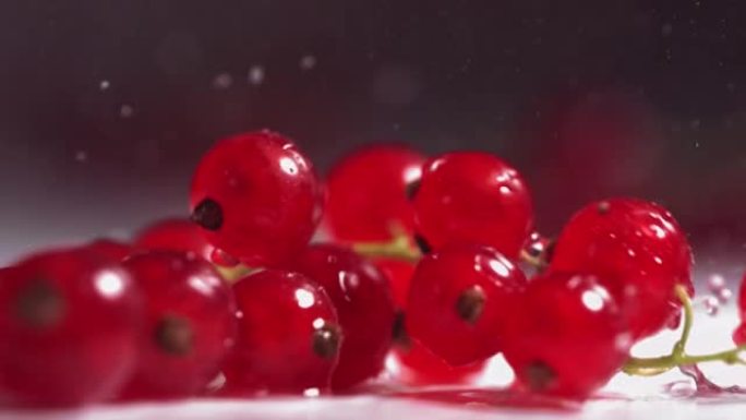 白色盘子上掉落的红醋栗浆果的特写视图