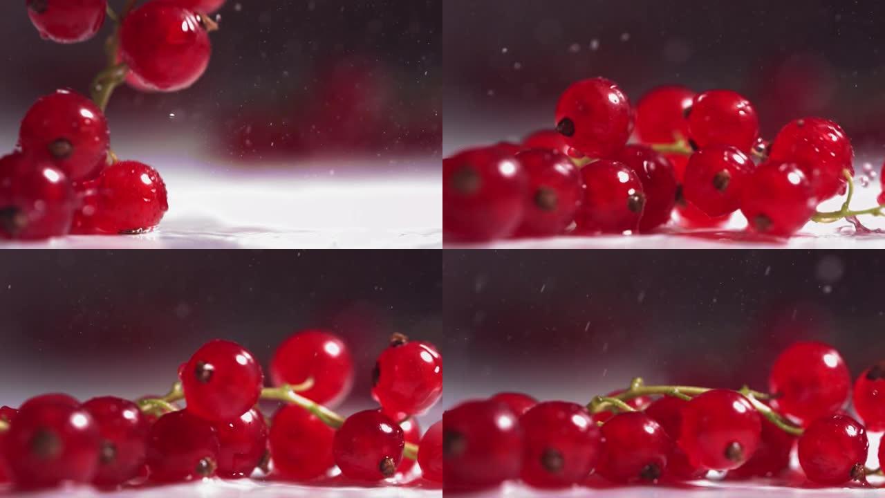 白色盘子上掉落的红醋栗浆果的特写视图