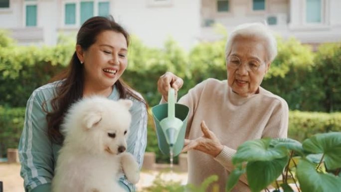 老年亚洲女性关心她的植物