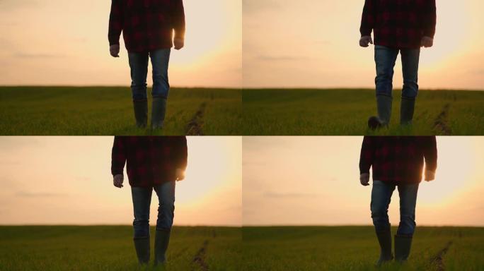 日落时分，农夫靴子的慢动作特写镜头穿过田野