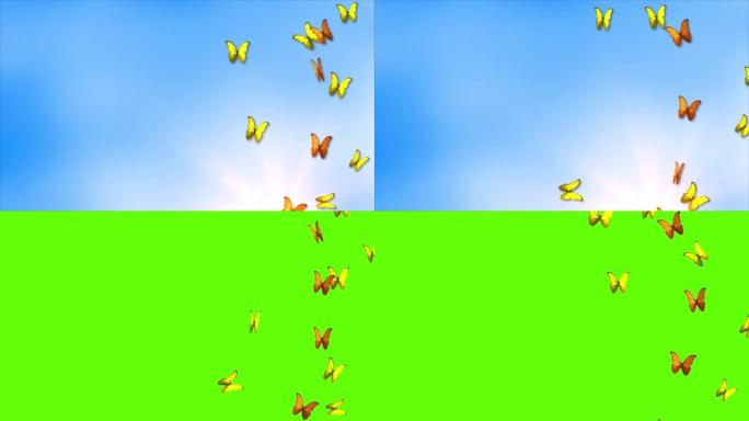 美丽的春夏设计4k动画，蝴蝶在浅蓝色的天空背景下。