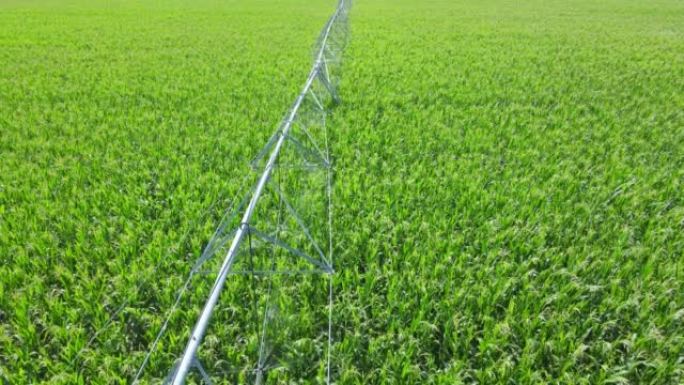 灌溉系统浇灌玉米田