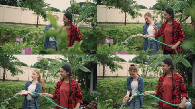 两个十几岁的女孩在城市花园里一起给植物浇水。