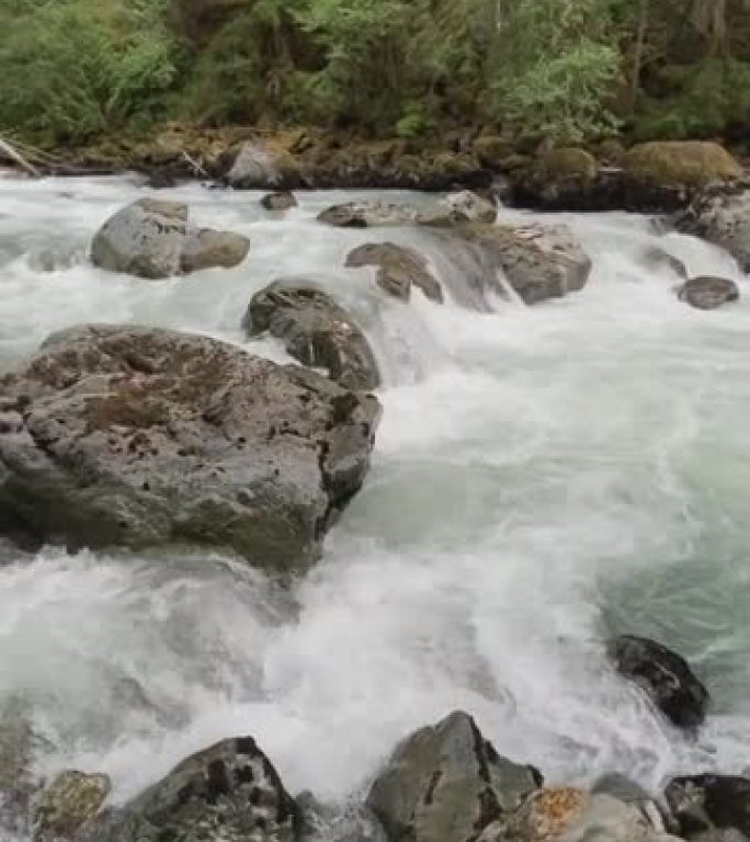 森林中一条湍急的河流的第一人称视角