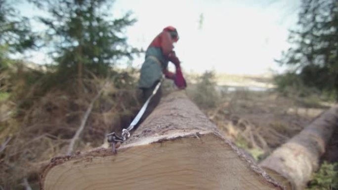 手持式-测量标准长度的茎以将树切割成