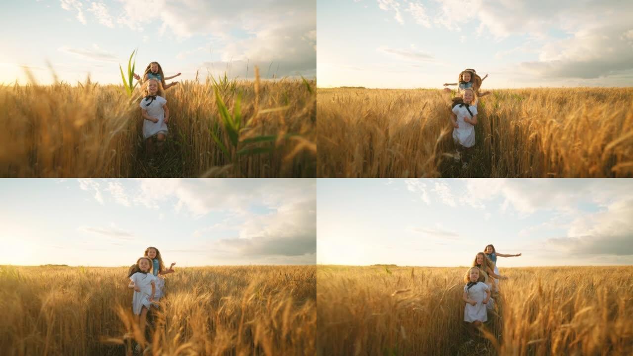 三个可爱的小女孩在阳光明媚的夏天，在金色的小麦或黑麦上奔跑，快乐无忧无虑的童年
