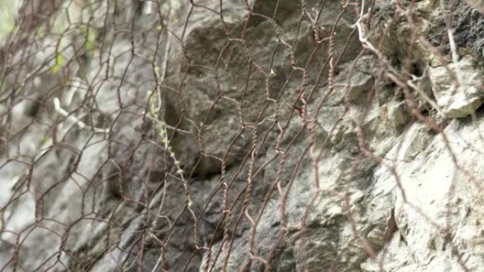 天然岩石，带有网状物，可防止滑坡危险地从悬崖上滑到道路上