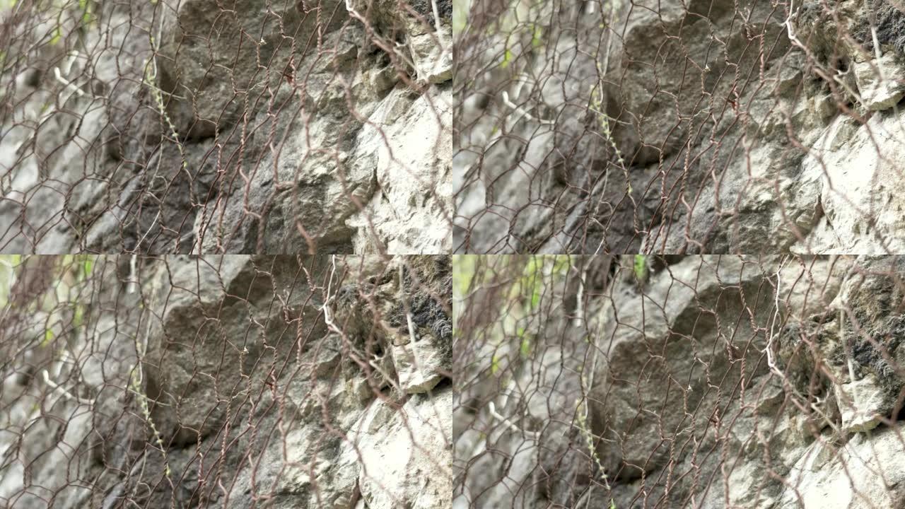 天然岩石，带有网状物，可防止滑坡危险地从悬崖上滑到道路上