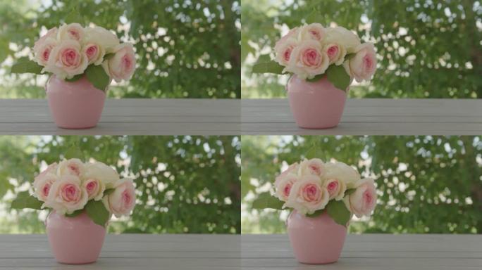 伊甸园玫瑰品种的美丽粉红玫瑰 (Pierre de Ronsard) -特写。选择性聚焦。