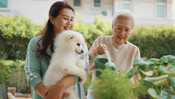 亚洲老年女性，女儿在家关心她的植物