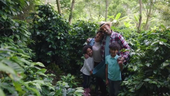 一个哥伦比亚家庭在咖啡农场工作的视频肖像，一边看着相机微笑着收割庄稼