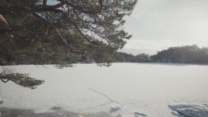 冬季的户外活动: 森林景观被雪和冰冻的湖泊覆盖