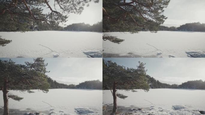 冬季的户外活动: 森林景观被雪和冰冻的湖泊覆盖