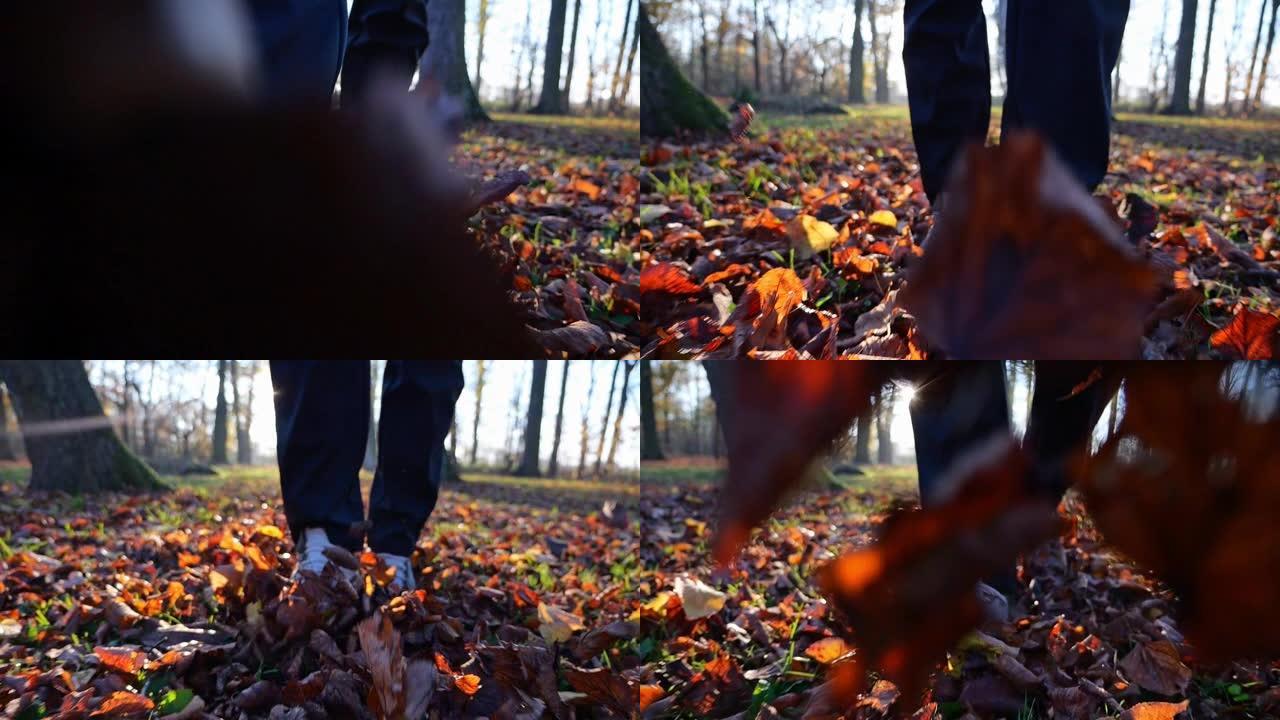 在公园徒步旅行的鞋子特写镜头。在公园里播撒秋叶。以慢动作记录。