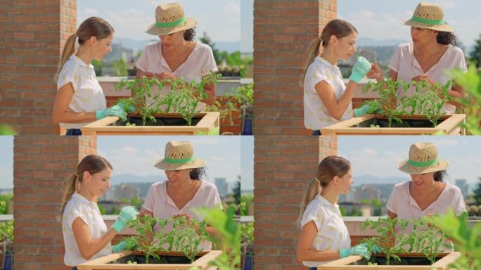 SLO MO女人在城市阳光明媚的屋顶上教一名年轻女子园艺