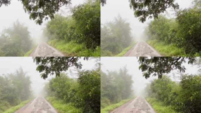穿过雾蒙蒙的森林的泥泞道路的建立镜头