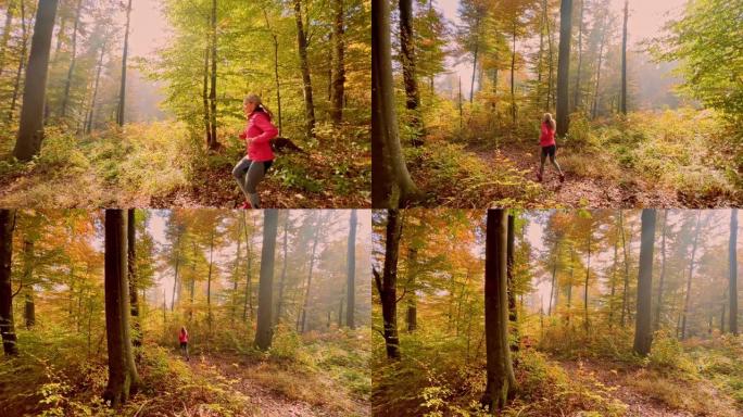 在阳光明媚的秋天森林中奔跑的女人
