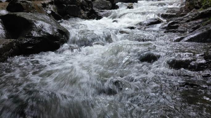 丛林河流  泉水叮咚  春季雨水