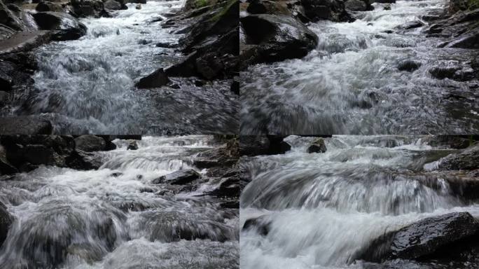 丛林河流  泉水叮咚  春季雨水