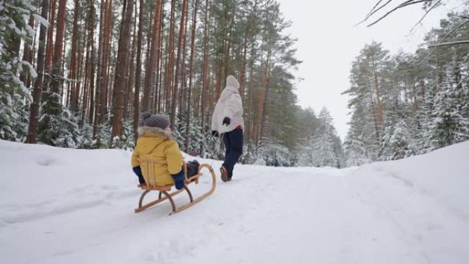 小孩子在白雪皑皑的森林里骑雪橇，女人在冬天在森林里拉雪橇