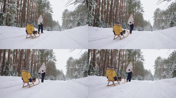 小孩子在白雪皑皑的森林里骑雪橇，女人在冬天在森林里拉雪橇