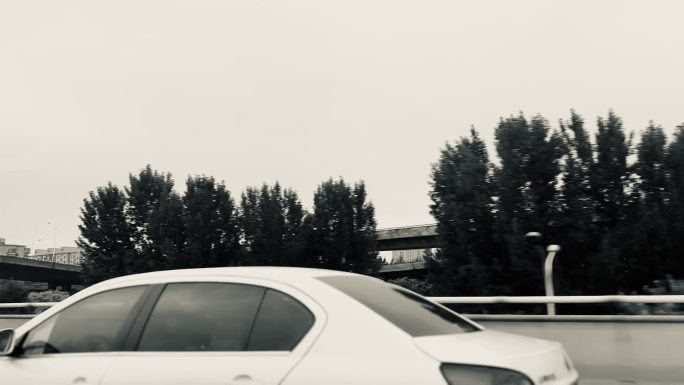 出租车窗外黑白风景