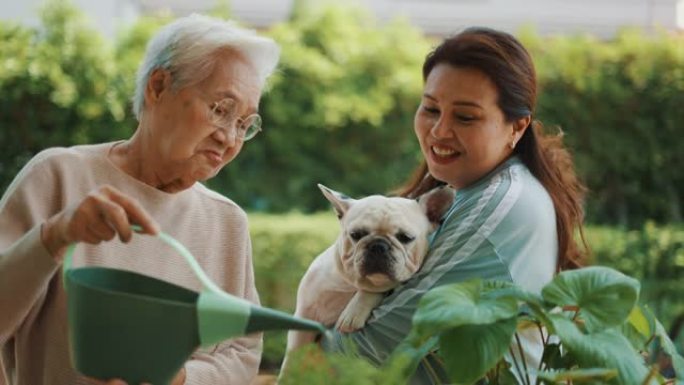 在家浇灌户外植物的高级女性