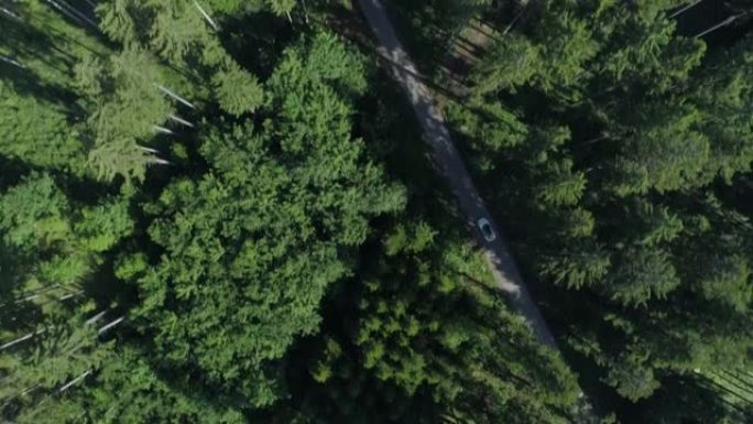 空中无人机在森林茂密的道路上射击，白色跑车驶过