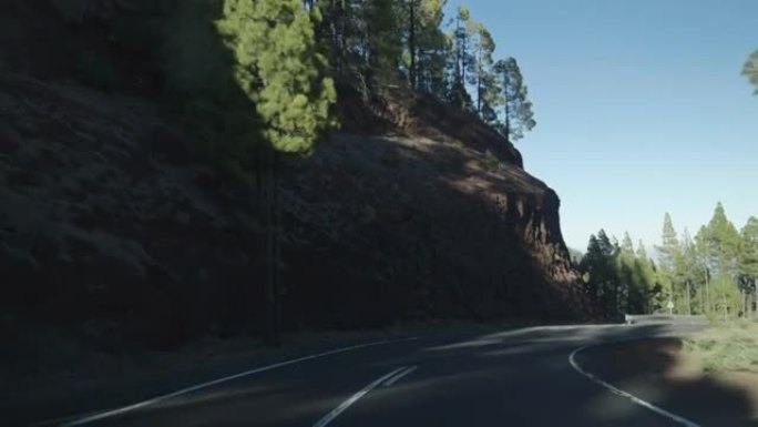 森林里蜿蜒的道路。无人机汽车旅行的观点