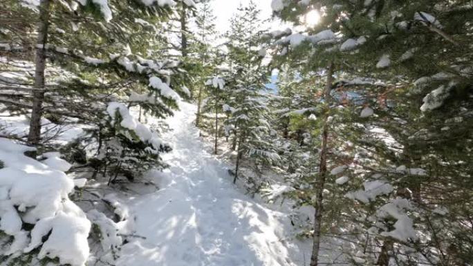 冬季风景中穿越雪的第一视角