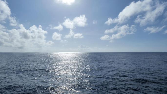 大海 蓝天 阳光 海鸥