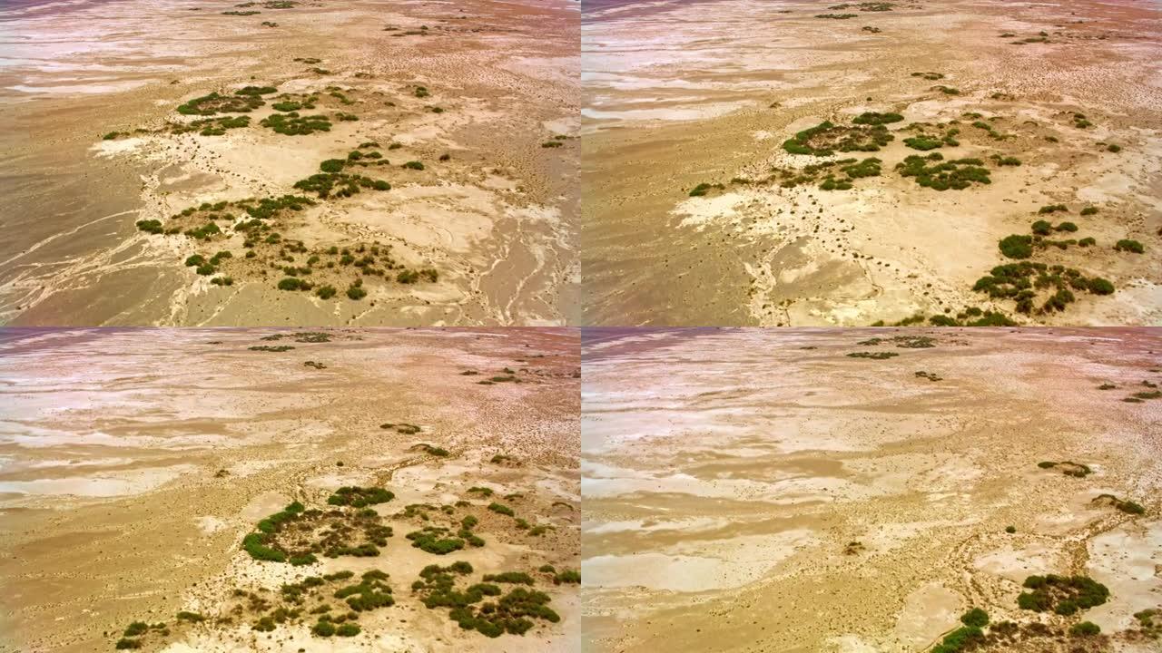 美国内华达州沙漠景观中的绿色植被的空中区域