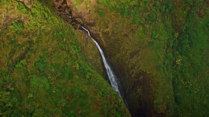 从夏威夷瓦胡岛圣瀑布州立公园的高山上延伸的空中瀑布