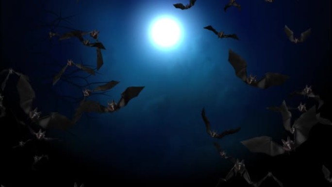 万圣节夜动画的4k循环背景。飞行蝙蝠万圣节夜节