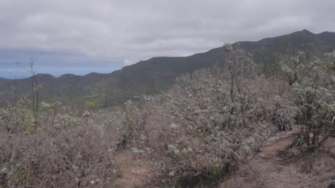 沙漠岛上海洋附近的山脉的景色