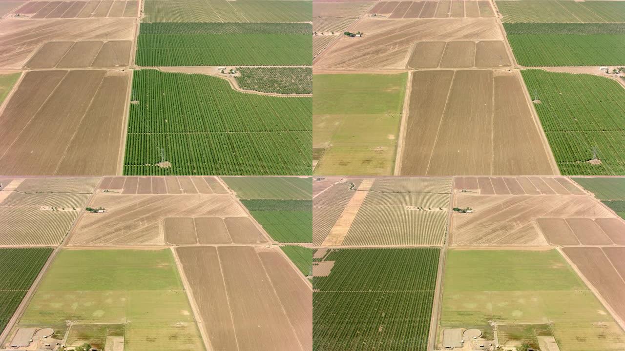 美国加利福尼亚州的空中大型农场