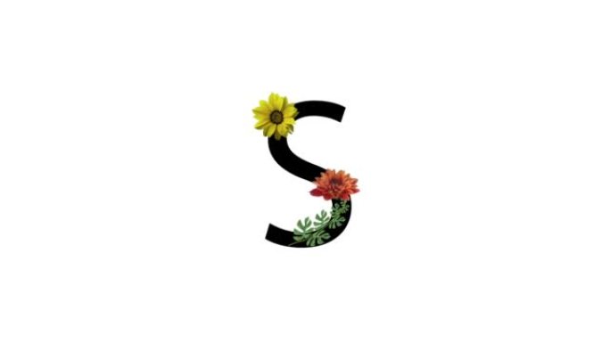 字母S，白色背景上有花朵，字母上有花朵，花朵盛开