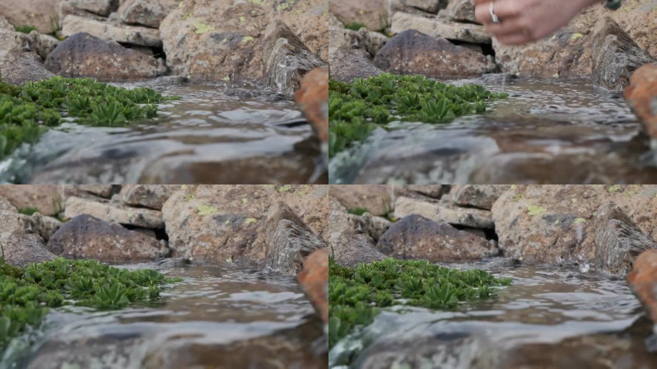 一名年轻女子的手在清澈透明的泉水中舀水喝水。用手掌从山涧取水，徒步旅行时解渴。特写，慢动作