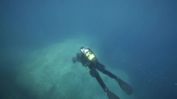 水下潜水员拍摄沿海海洋生物