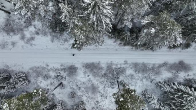 空中无人机拍摄了一名妇女在树林中沿雪道行走的镜头