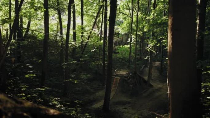 Sunny forest mountain bike trail with a large tram