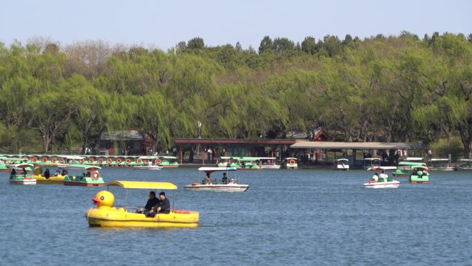 景区湖里游人乘着游船在湖面开心游玩2