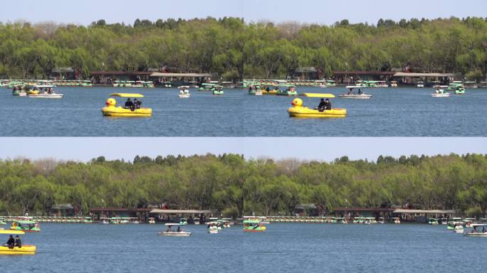 景区湖里游人乘着游船在湖面开心游玩2