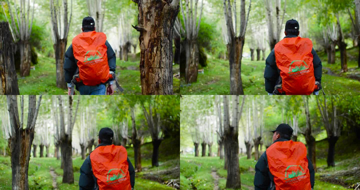 摄影 游客 相机-摄影设备 森林 旅游