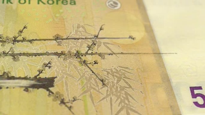 韩国，韩国5万纸币，5万韩元，韩国近景和宏观视图，追踪和拍摄5万韩国纸币观察和储备面，韩国货币背景，
